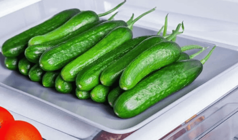 تخزين الخيار في الثلاجة watanserb.com