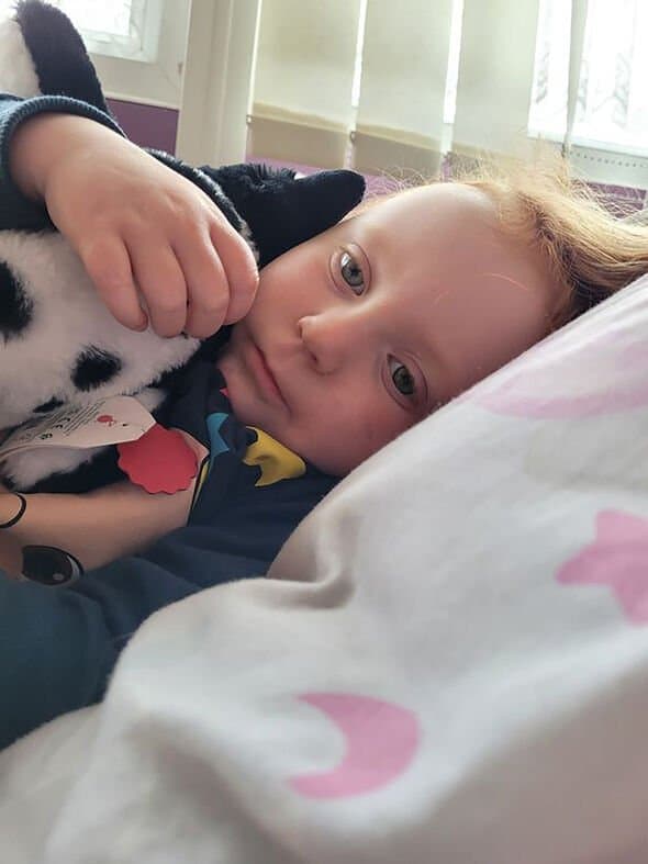 قالت شارلوت "تم التأكد من إصابتها بالسالمونيلا من شوكولاتة كيندر" (الصورة: HULL LIVE / CHARLOTTE WINGFIELD)