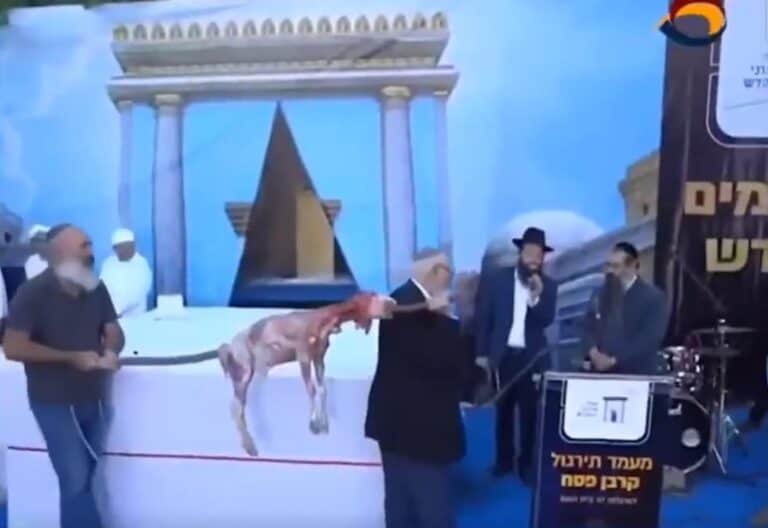 ذبح القرابين قرب المسجد الأقصى watanserb.com