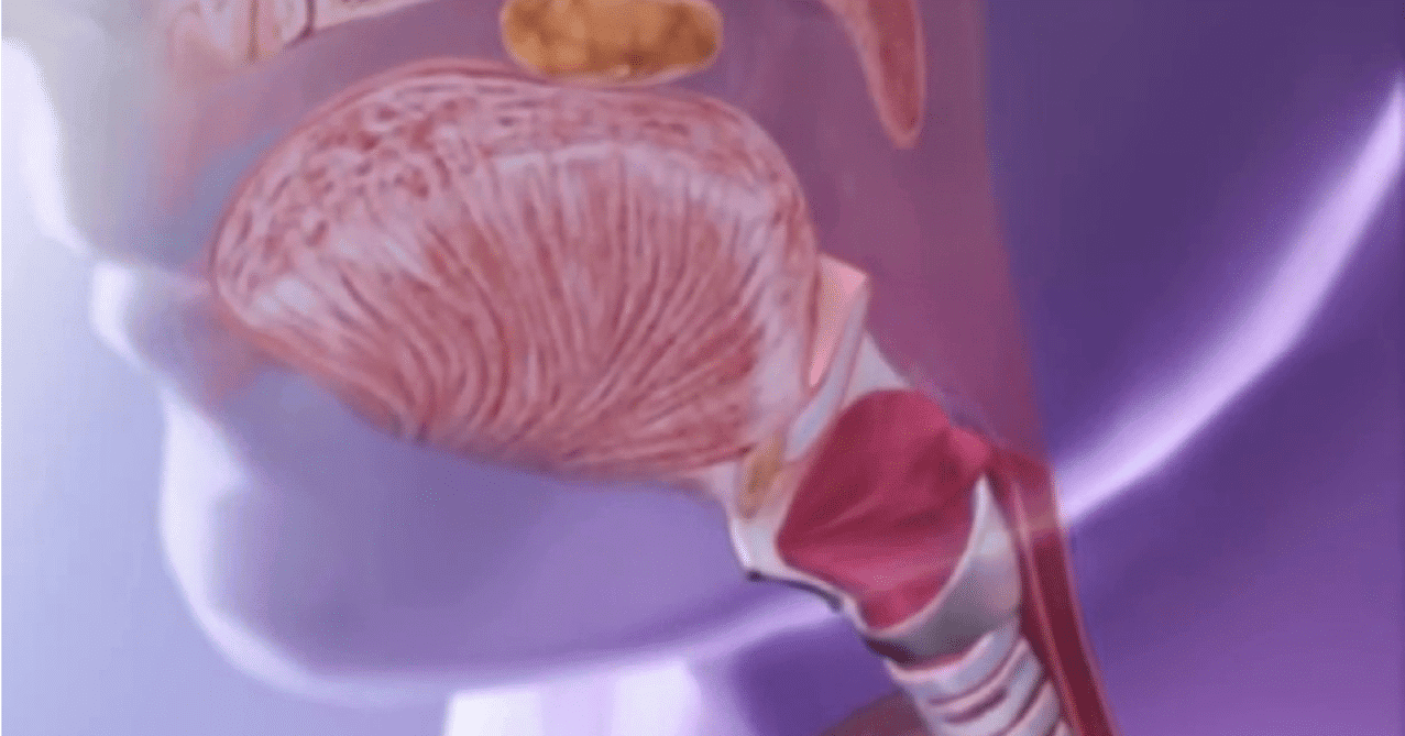 لسان المزمار