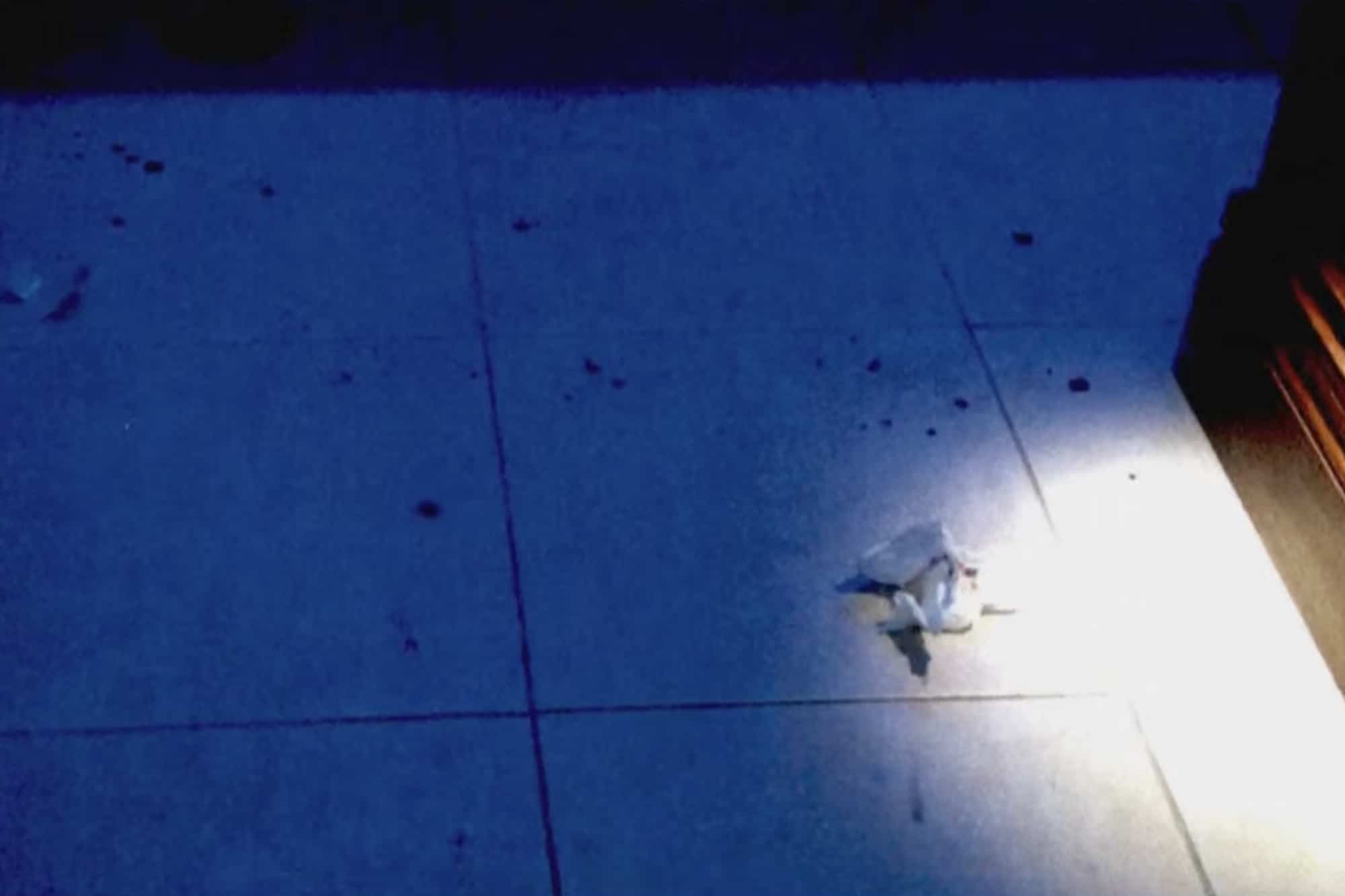 جوني ديب وآمبر هيرد