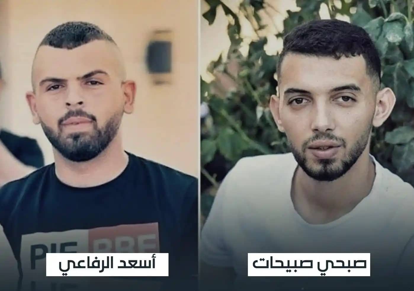 عملية إلعاد