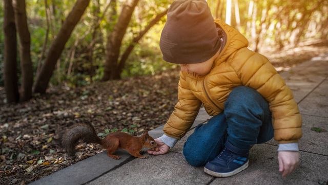 يصاب الأطفال بالعدوى من خلال ملامسة الحيوانات المصابة بالفيروس.