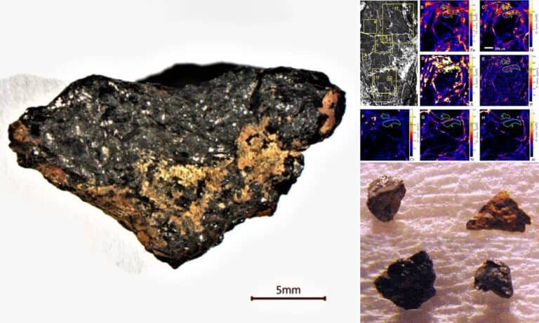صخرة فضائية في مصر قد تكون أول دليل ملموس على انفجار "مستعر أعظم" watanserb.com