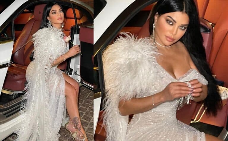 هيفاء وهبي بملابس النوم على سريرها والجمهور يتهمها بمحاولة الرجوع لأبو هشيمة! (شاهد) watanserb.com