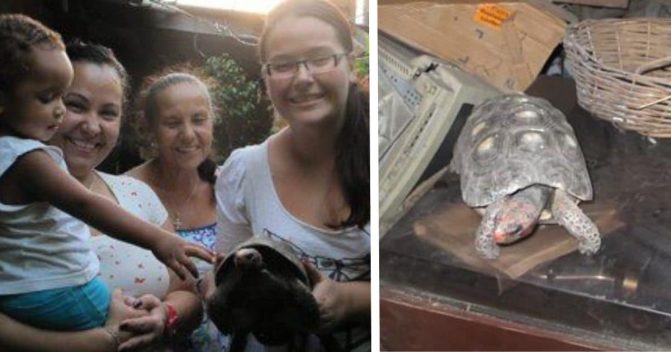 سلحفاة مفقودة watanserb.com