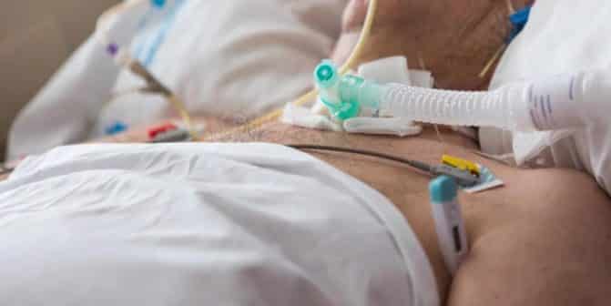 الحلتيت يشغل السعوديين.. ومختص في السموم والأعشاب يكشف معلومات مُرعبة حوله! watanserb.com