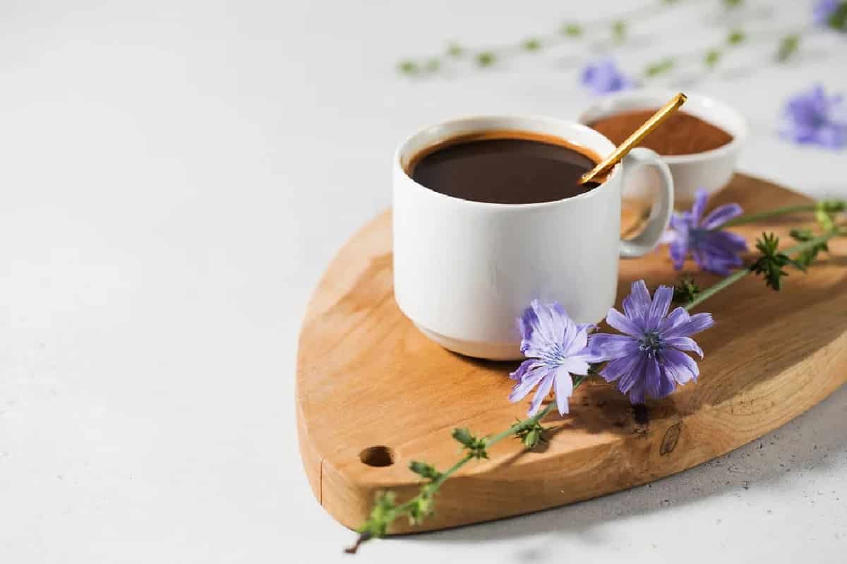 مشروب الهندباء