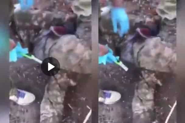 إخصاء جندي أوكراني watanserb.com