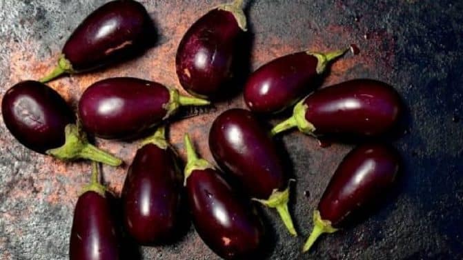 لماذا عليك أن تشتري دائما الباذنجان صغير الحجم؟ الباذنجان watanserb.com