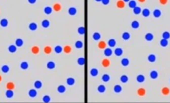 الذاكرة الفوتوغرافية watanserb.com