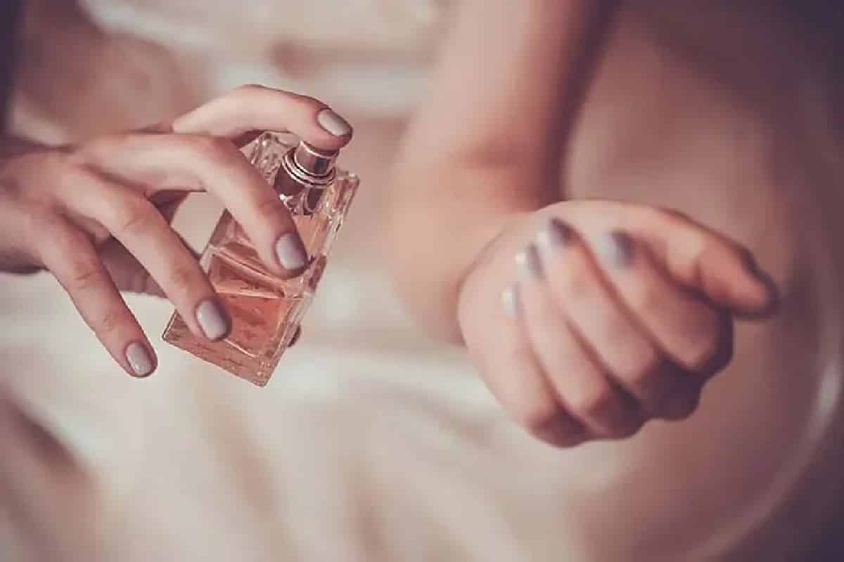 تتنافس العلامات التجارية على القدرة في الإبداع في هذا المجال لجذب المزيد من المستهلكين