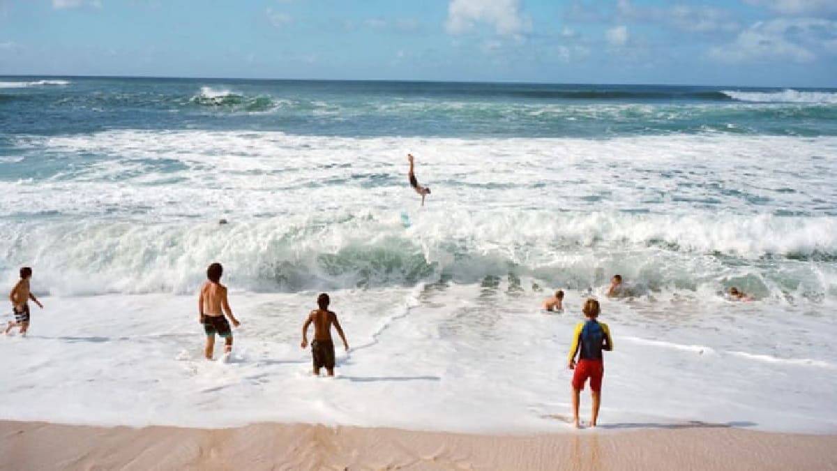 جزيرة هاواي