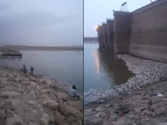 جفاف سد جرف التربة watanserb.com