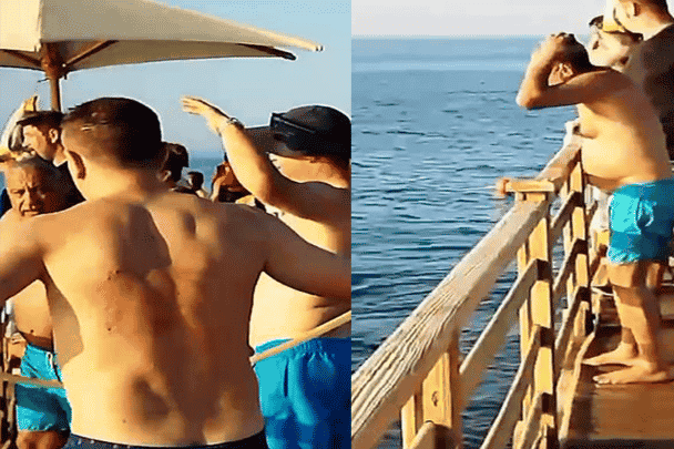 سمكة قرش تفتك بسائحة في الغردقة watanserb.com