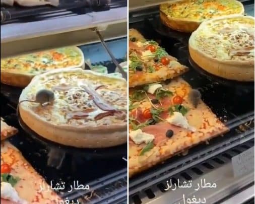 فئران في مطاعم مطار تشارل ديغول watanserb.com