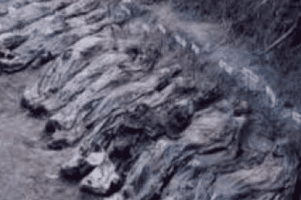 الكشف عن مقابر سرية جماعية تحوي جثث عشرات الآلاف من معارضي نظام الأسد مقابر سرية جماعية لنظام الأسد watanserb.com