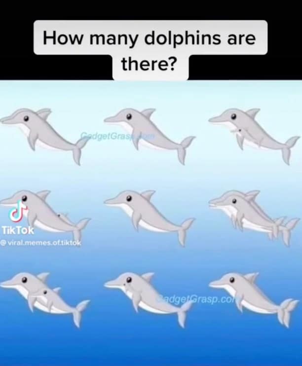 وهم بصري - دلافين