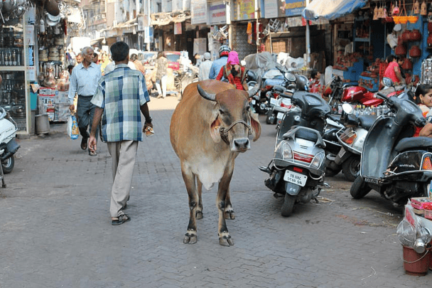 أسرة عمانية تتعرض للاحتيال في الهند watanserb.com