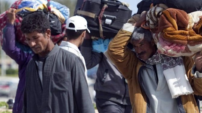 استبعاد المصريين watanserb.com