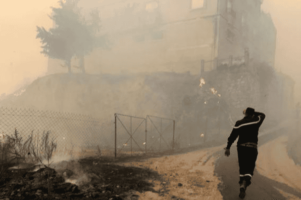حرائق الجزائر مستمرة منذ أيام.. مشاهد مروعة وتعاطف واسع حرائق الجزائر watanserb.com