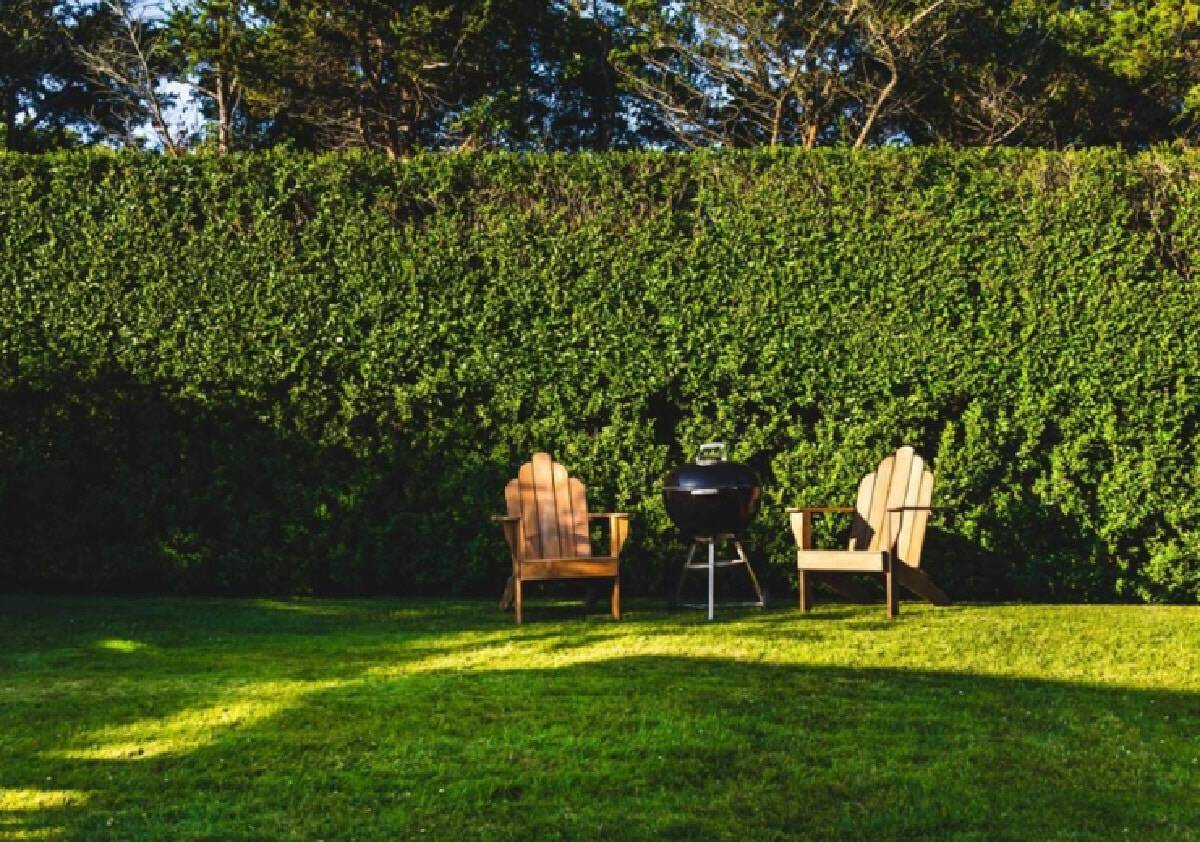 حديقة المنزل