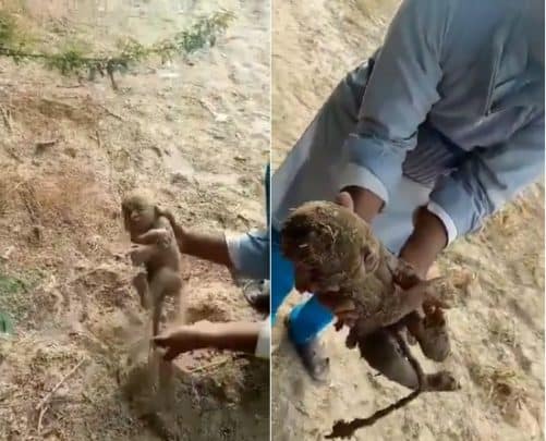 فيضانات باكستان watanserb.com