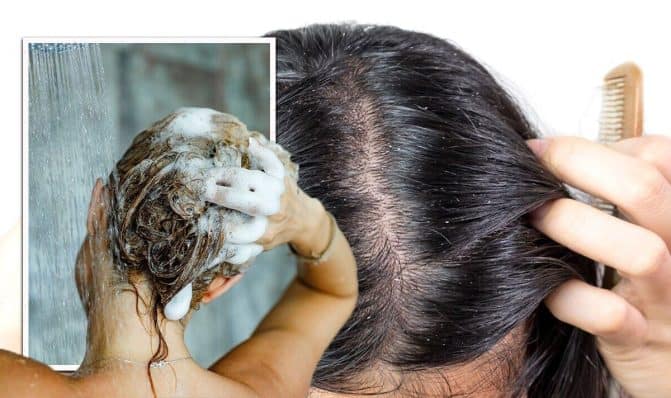 لشعر صحي..تعرف معنا على الوقت الذي يجب أن تغسل فيه شعرك watanserb.com