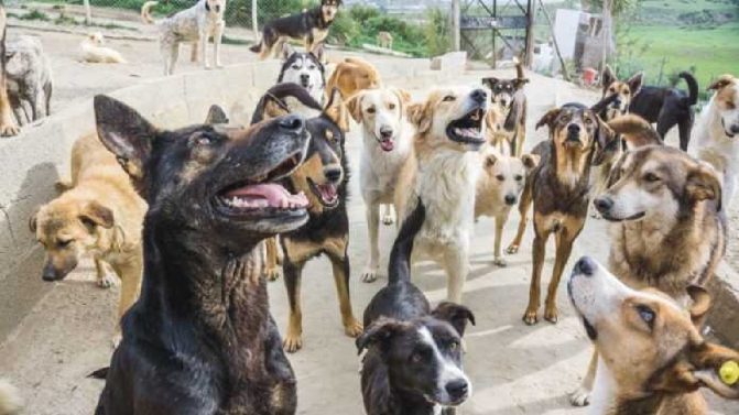 مقتل سائح فرنسي في المغرب watanserb.com