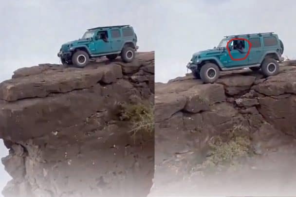 “ملك الوحوش” الإماراتي في قبضة الأمن العماني وننشر الفيديو المحذوف ملك الوحوش watanserb.com