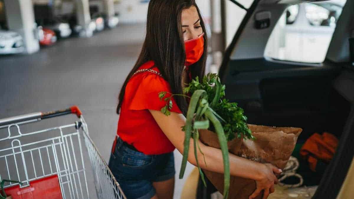 يجب ألا تترك الطعام في السيارة لوقت طويل،