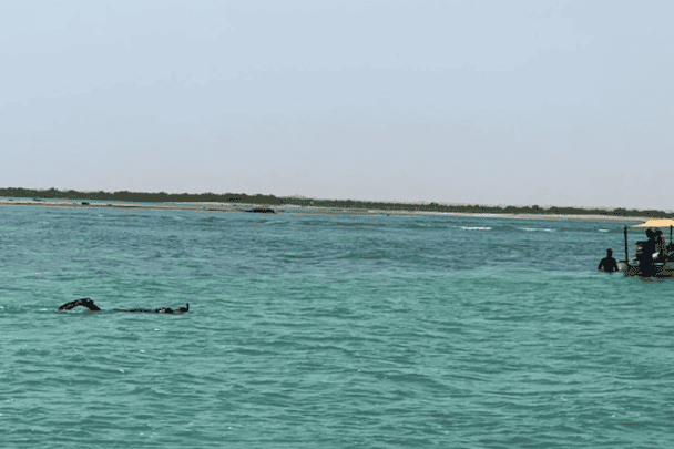 غرق أسرة عمانية watanserb.com