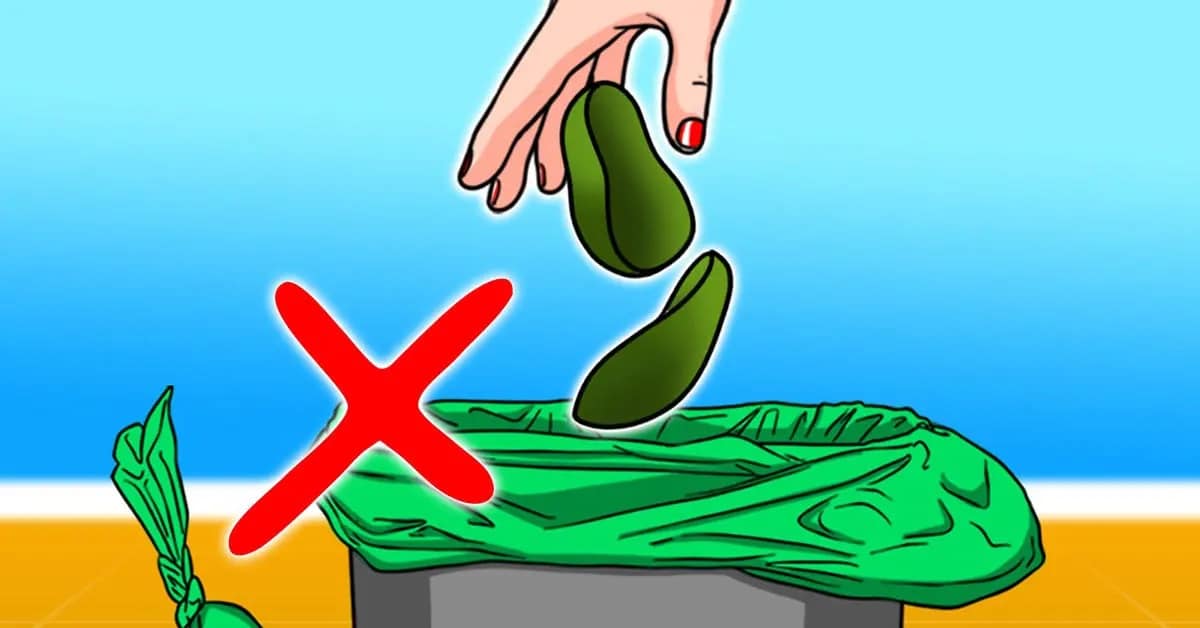 لماذا من المهم عدم رمي قشور الأفوكادو في سلة المهملات بعد الآن؟ الأفوكادو watanserb.com