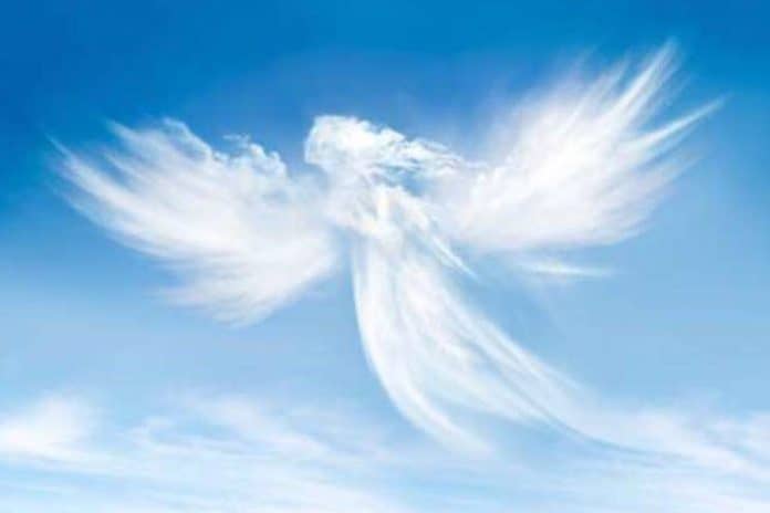 مقال كاتب سعودي عن الحور العين watanserb.com