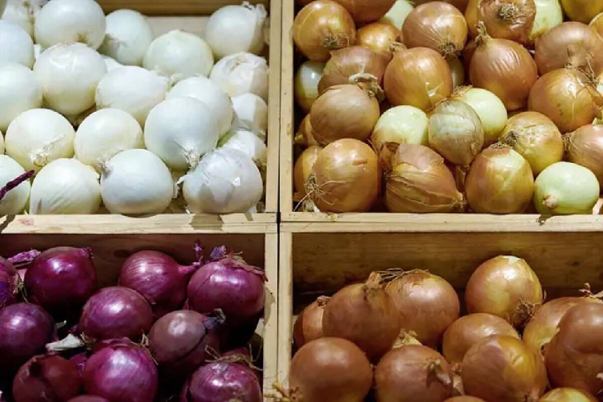 ثمار البصل، هي النوع الوحيد من الخضار الذي يجعلنا نبكي عند تقشيره