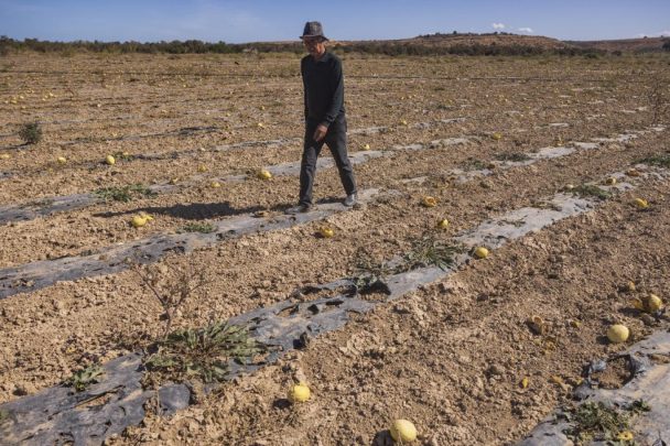 الأمن المائي watanserb.com