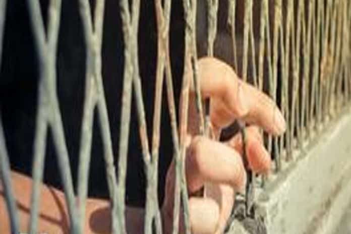 السعودية ضد نشاطات حقوق المرأة watanserb.com