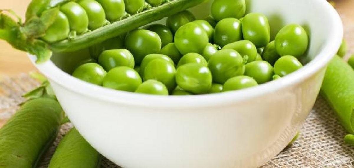 من الأفضل تجميد الفاصولياء الخضراء قبل طهيها