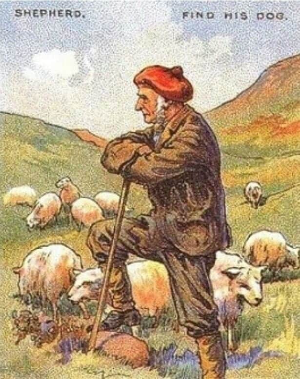 اختبار الذكاء .. فقط العبقري يمكنه اكتشاف كلب الراعي في 21 ثانية