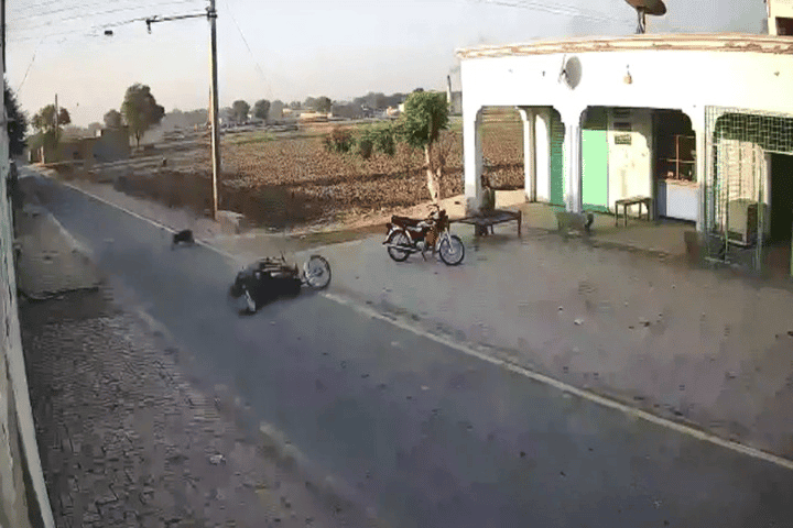 لحظة انقضاض طائر ضخم على راكب دراجة نارية في باكستان.. شاهد ما جرى له! طائر ضخم watanserb.com