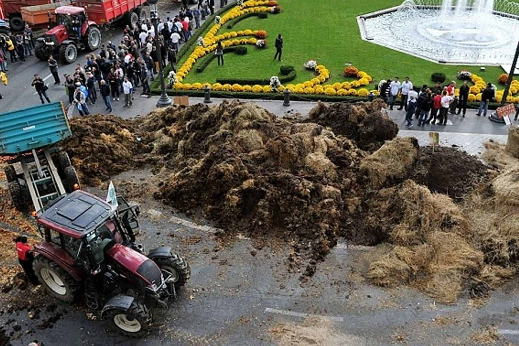 ماذا يحدث في فرنسا؟.. الميادين الكبرى مغلقة بروث الحيوانات (فيديو) الميادين مغلقة بروث الحيوانات watanserb.com