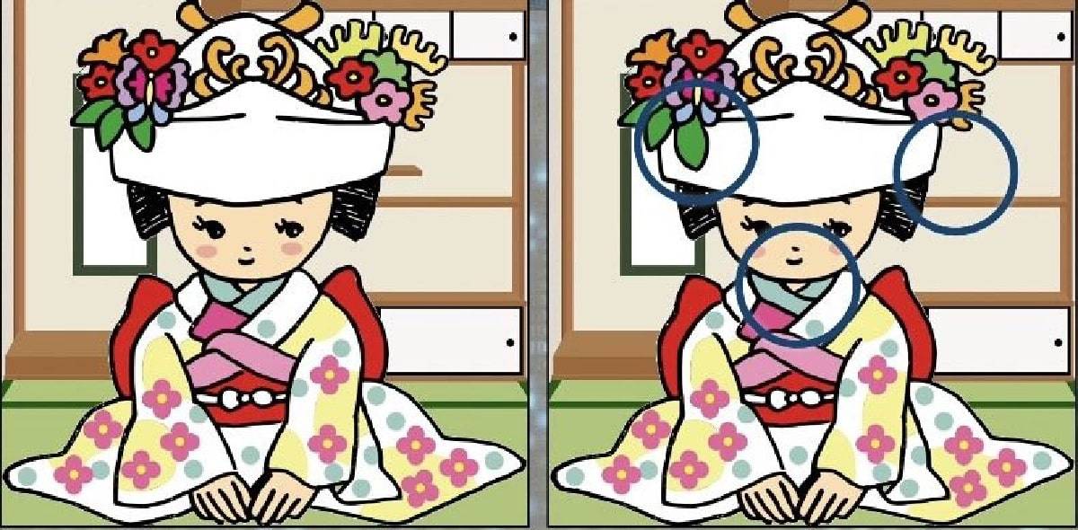 توضيح الاختلافات الثلاث في الصورة