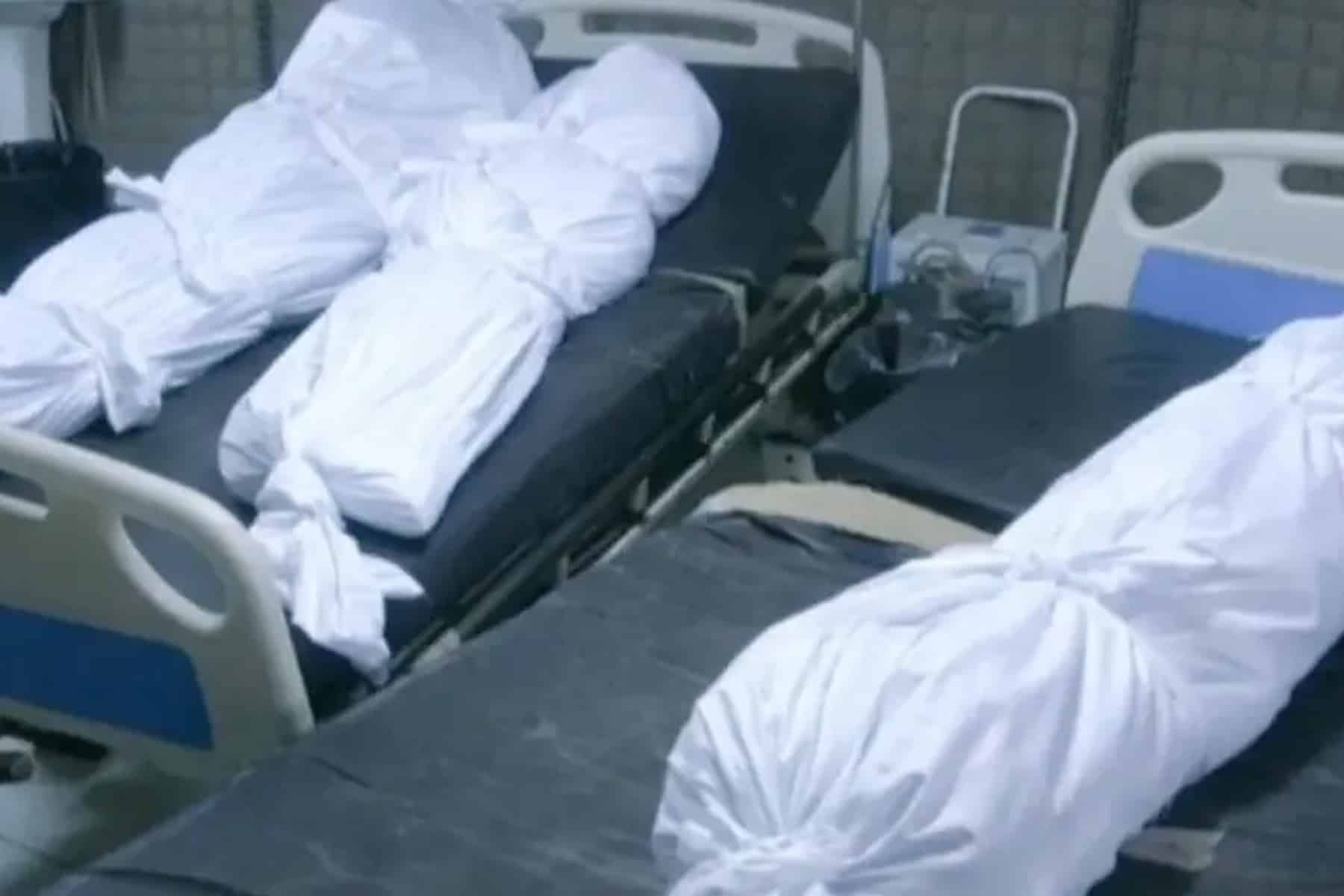 ادعى تواصله مع الجثث ومعرفة سبب وفاتها.. مصير “مستريح الطب الشرعي” بمصر مستريح الطب الشرعي watanserb.com