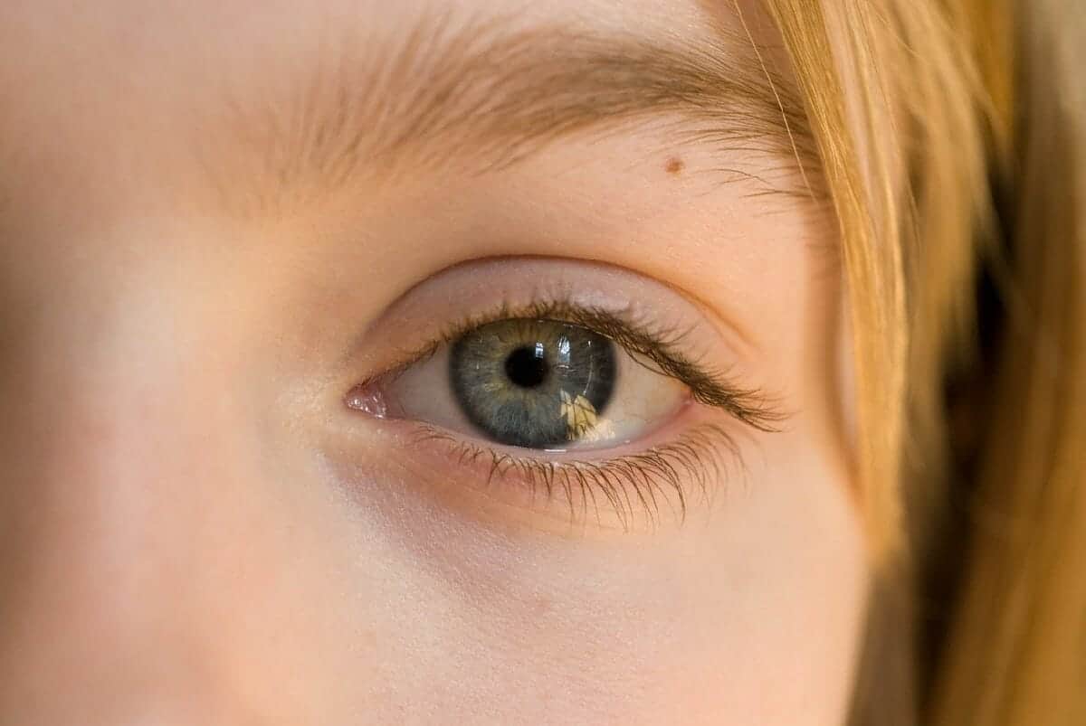 من الضروري تنظيف حافظة العدسة وتغييرها حسب توصيات الخبراء