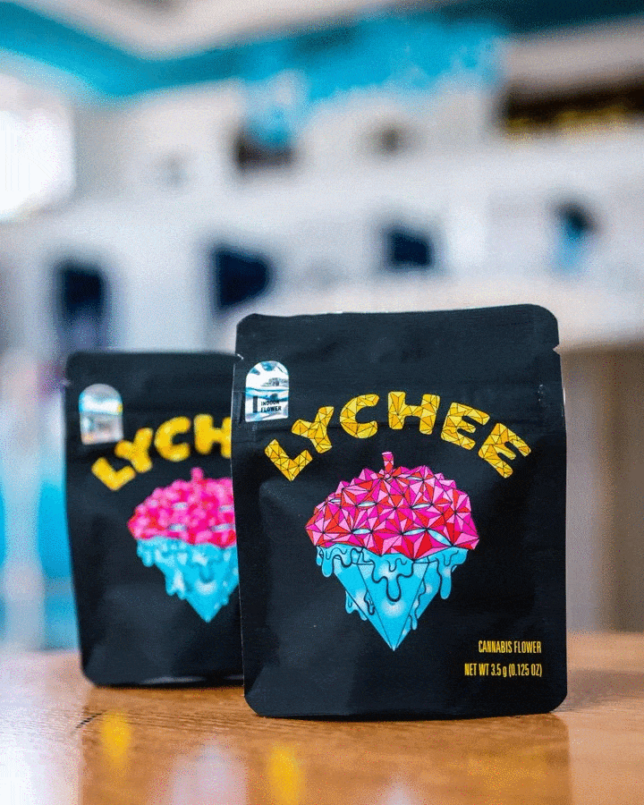 مخدرات بحقائب منة شلبي 