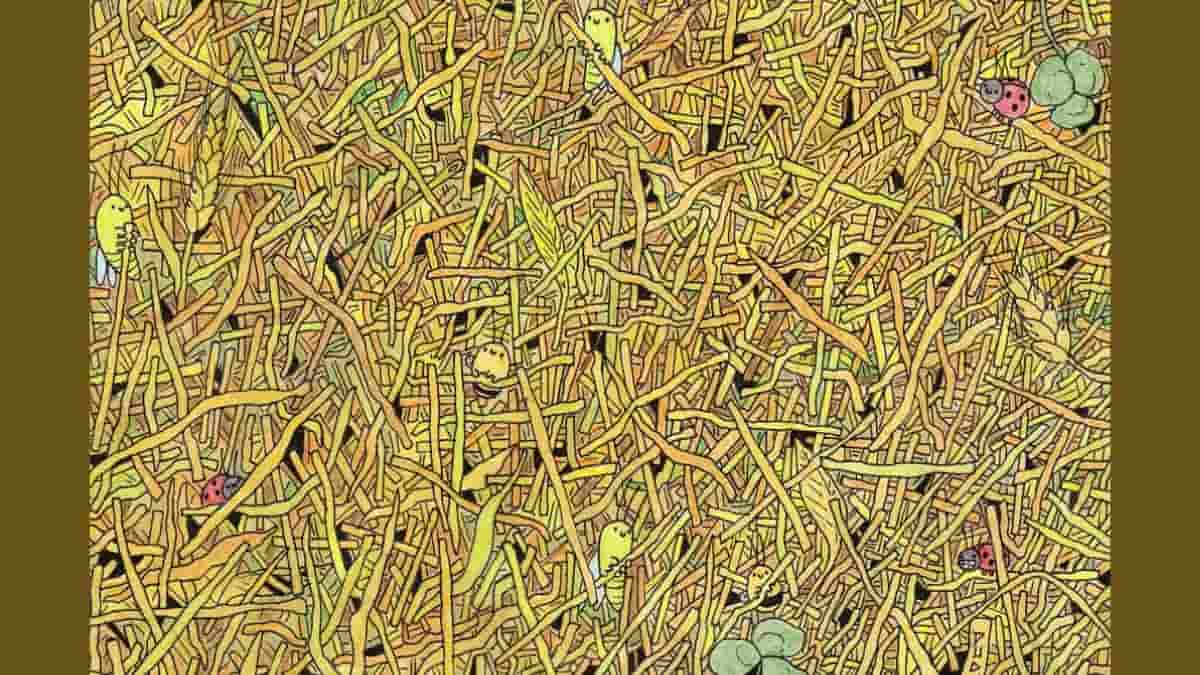 وهم بصري عجّز كثيرين .. لديك عيون صقر إذا اكتشفت الإبرة في كومة القش في 9 ثوانٍ وهم بصري عجّز كثيرين .. لديك عيون صقر إذا اكتشفت الإبرة في كومة القش في 9 ثوانٍ watanserb.com