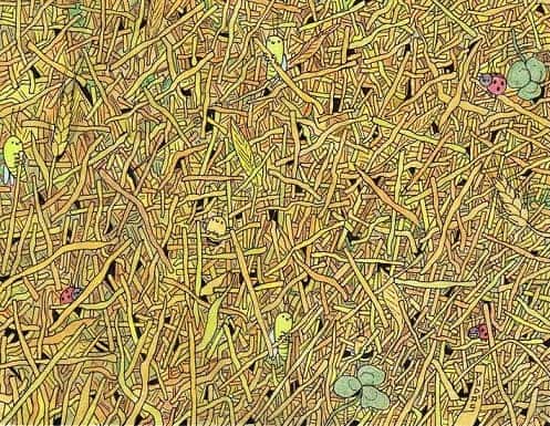 لديك عيون صقر إذا تمكنت من اكتشاف الإبرة المخفية في في كومة قش في 9 ثوانٍ