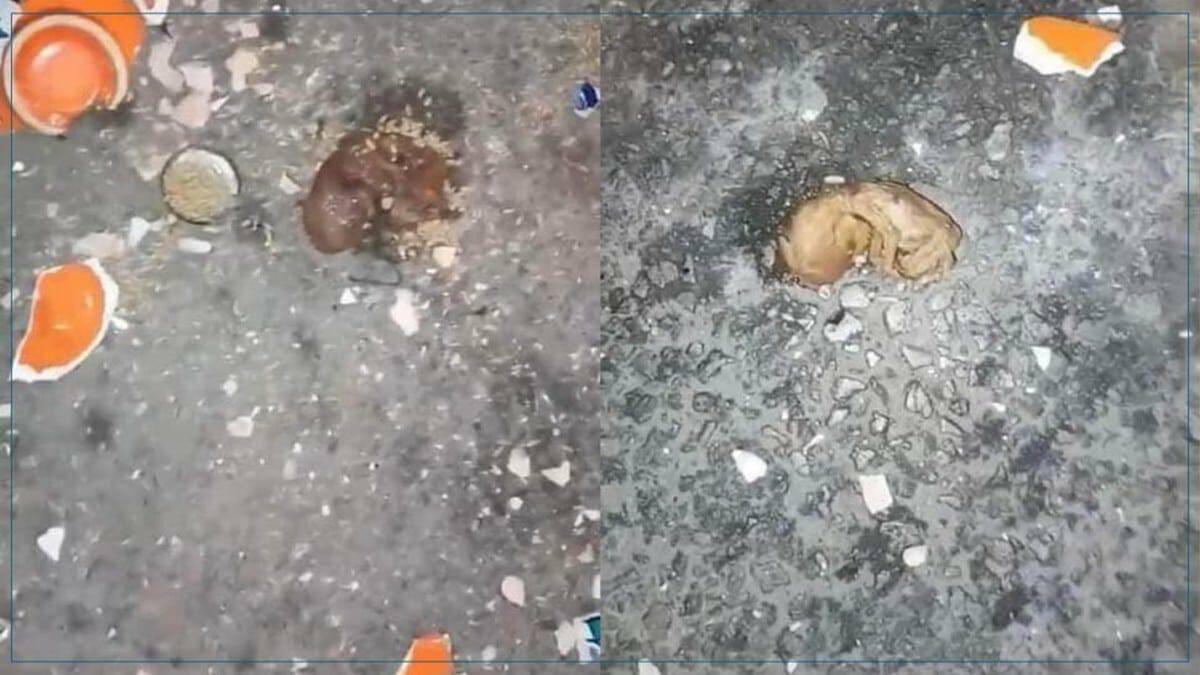 تونس.. صدفة ومباراة كرة تقود لأوانِِ فخارية مليئة بأجنة ميتة أجنة بنزرت watanserb.com