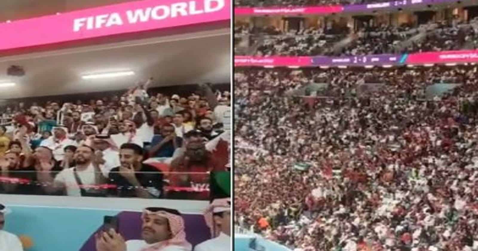 هتاف جماعي لفلسطين يصدح في مدرجات مباراة قطر وهولندا بكأس العالم (فيديو) مدرجات مباراة قطر وهولندا watanserb.com