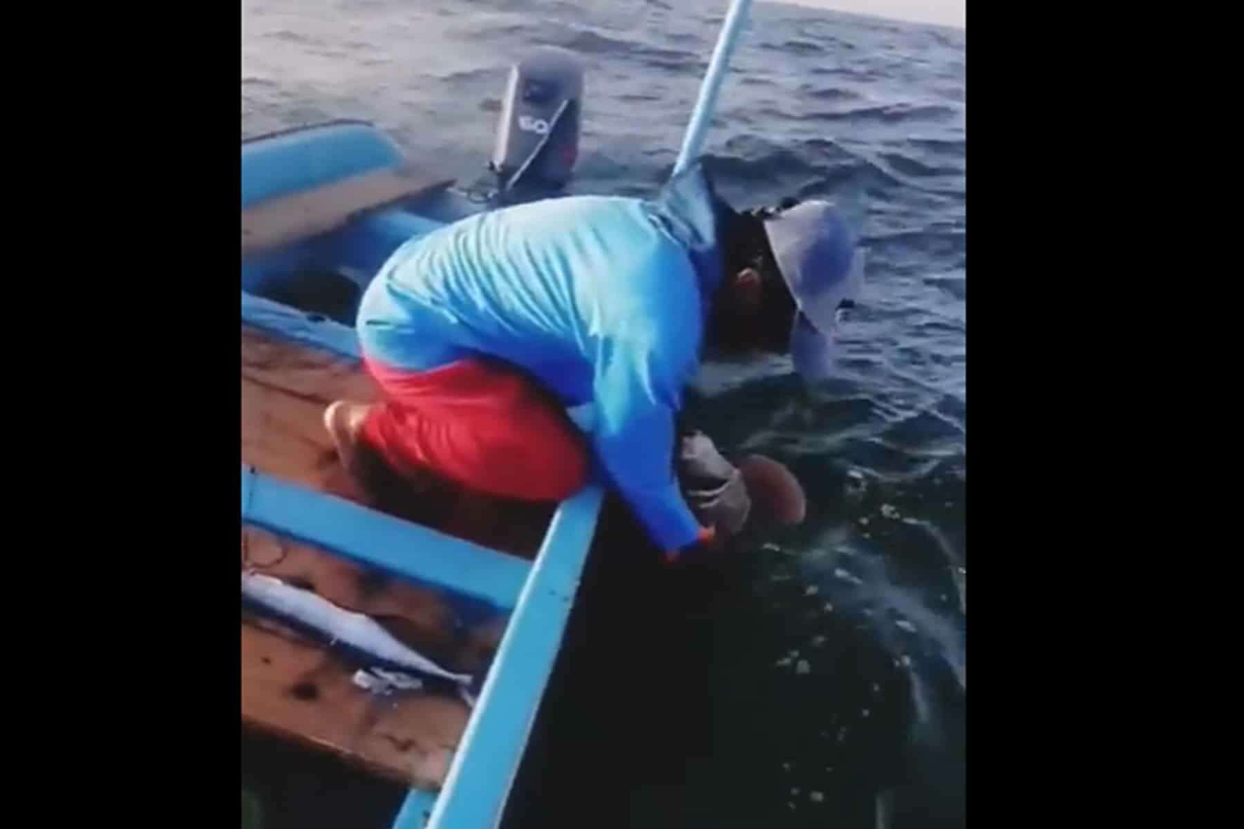 سمكة نادرة ضخمة تفاجئ صياداً عمانياً.. وهكذا كانت النهاية (فيديو) سمكة نادرة watanserb.com